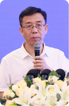 王兴玲 — 民政部信息中心党委副书记、总工程师