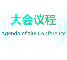 大会议程